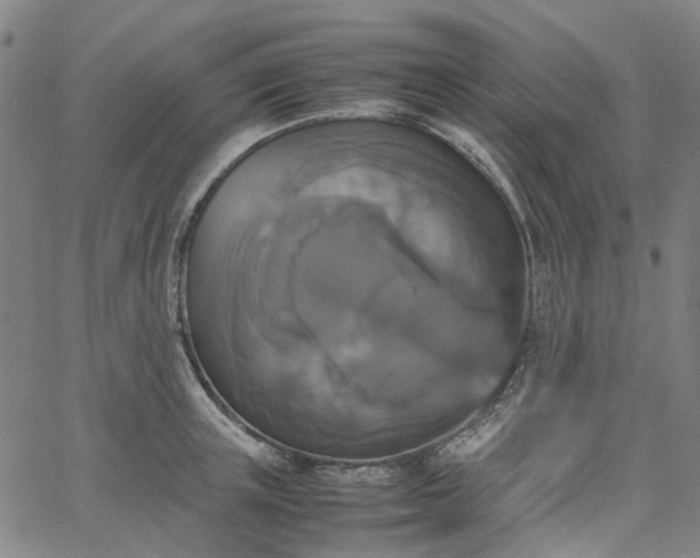 X0000067890851200604201307