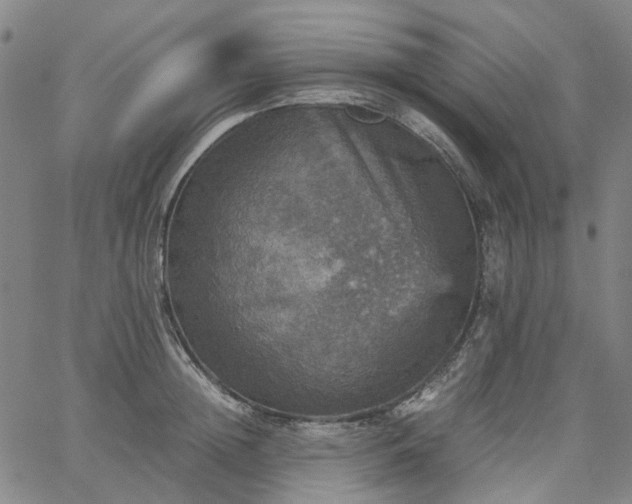 X0000067890852200604201307