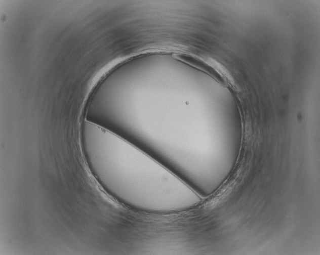 X0000067890854200604201307