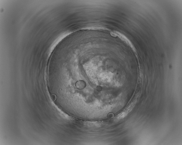 X0000067890855200604201307