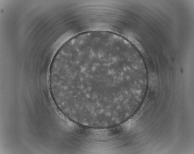 X0000067890856200604201307