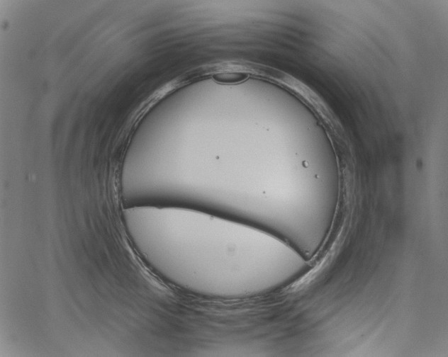 X0000067890857200604201307