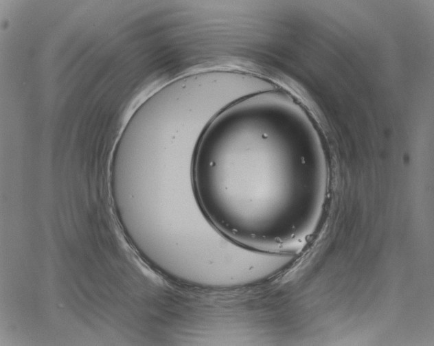 X0000067890858200604201307