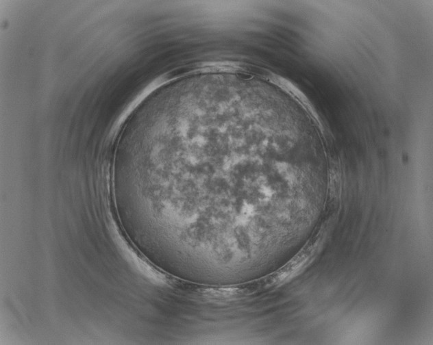 X0000067890859200604201307