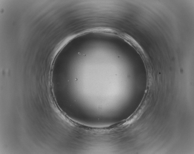 X0000067890860200604201307