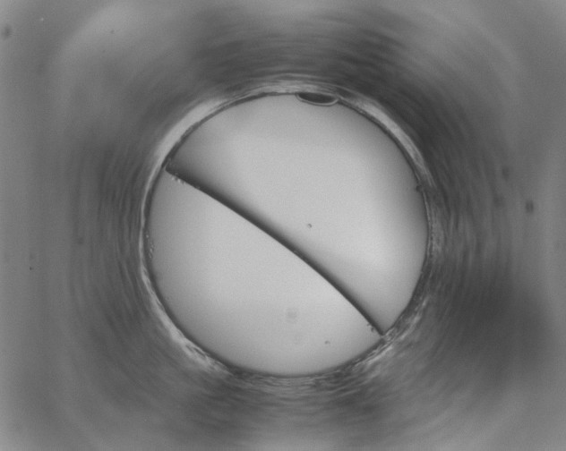 X0000067890861200604201307