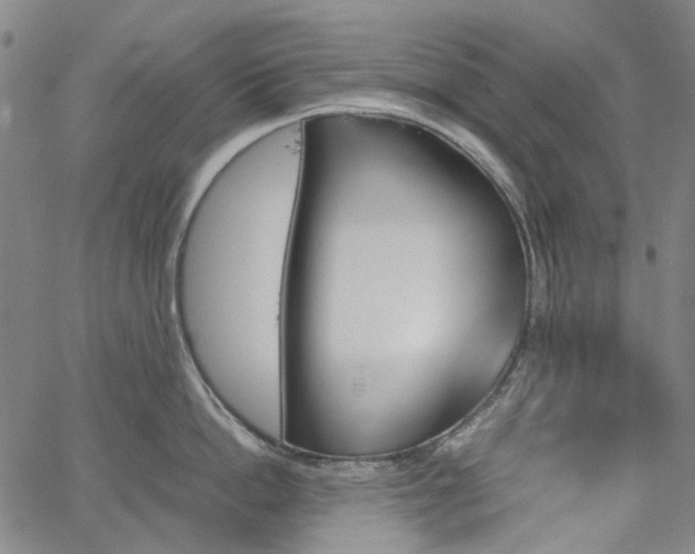 X0000067890862200604201307