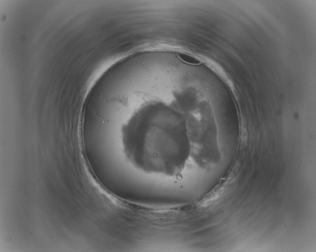 X0000067890863200604201307