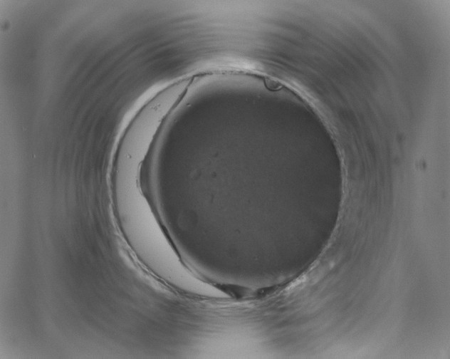 X0000067890864200604201307