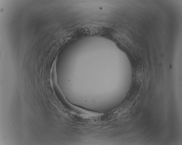 X0000067890865200604201306