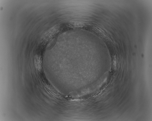 X0000067890866200604201306