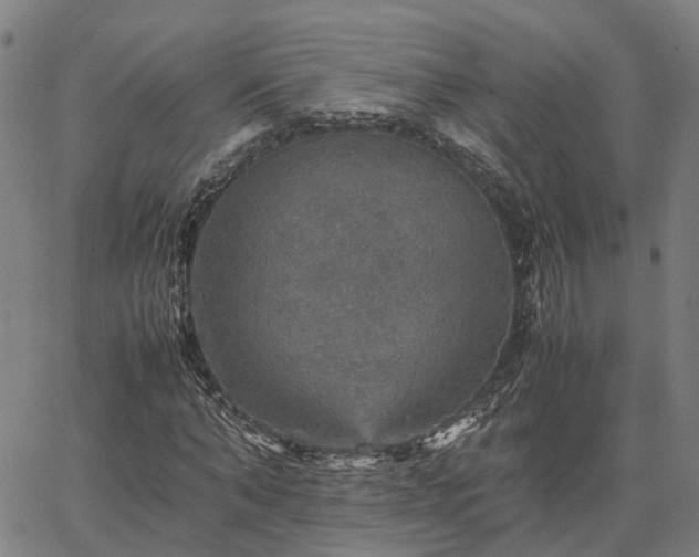 X0000067890870200604201306