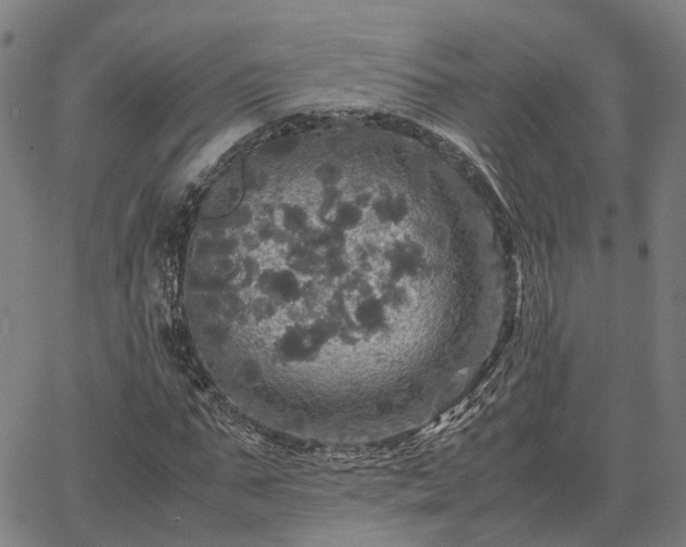 X0000067890871200604201306