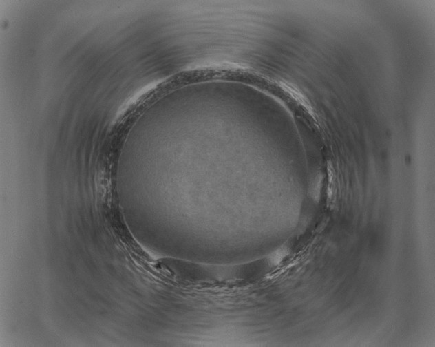 X0000067890872200604201306