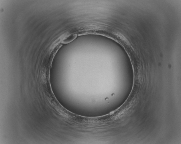 X0000067890873200604201306