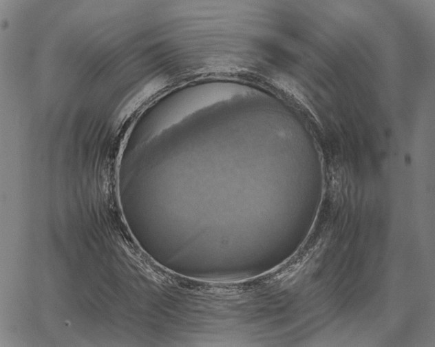 X0000067890874200604201306