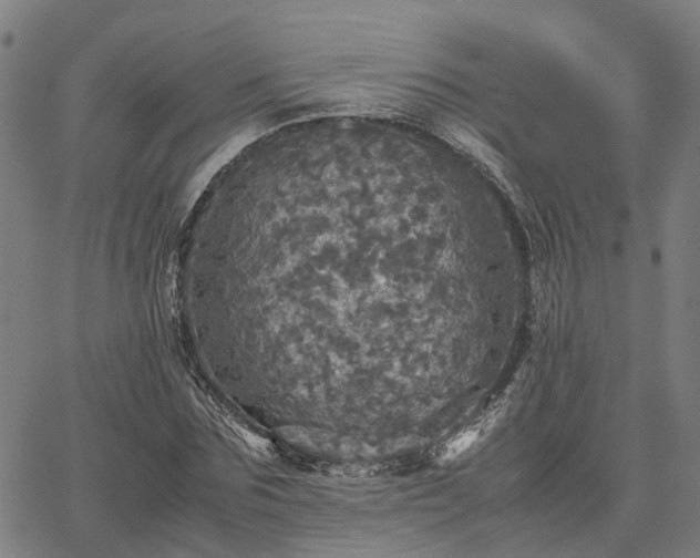 X0000067890875200604201306