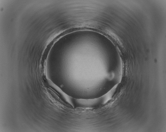 X0000067890876200604201306