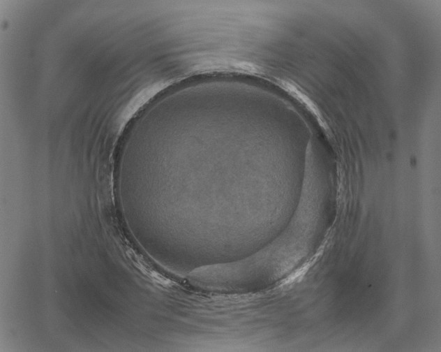 X0000067890877200604201306