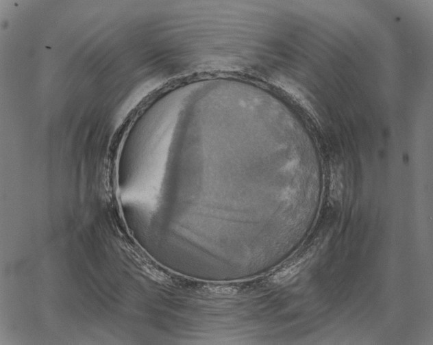 X0000067890878200604201306