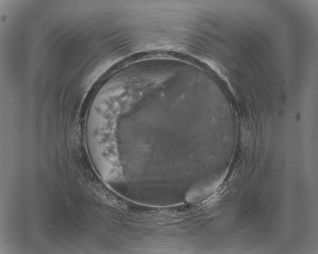 X0000067890879200604201306