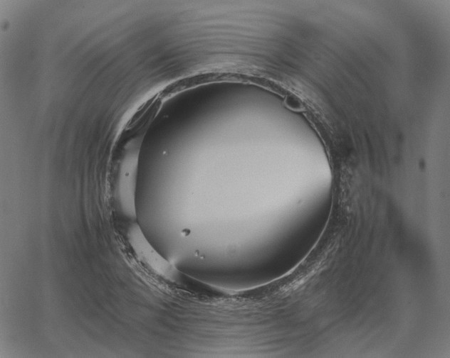 X0000067890880200604201306