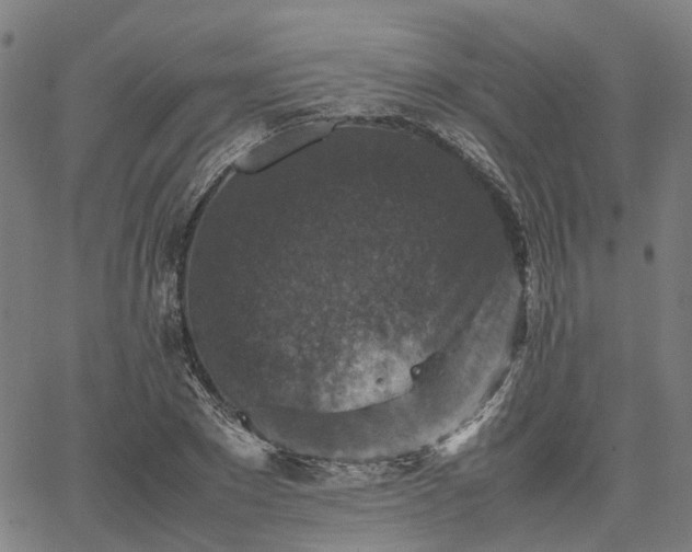 X0000067890881200604201306