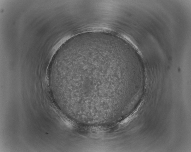 X0000067890883200604201306