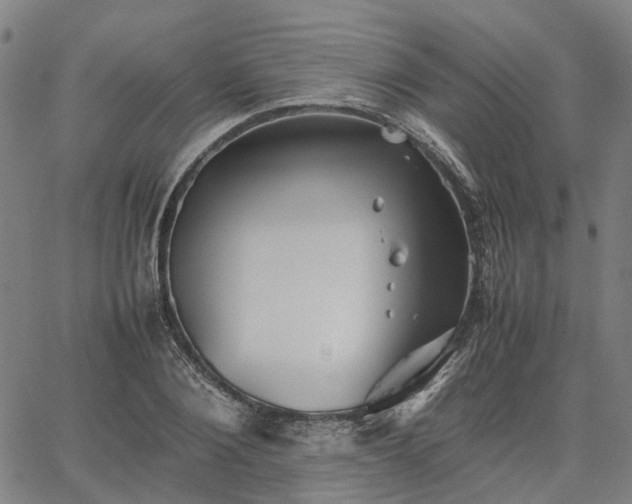 X0000067890884200604201306