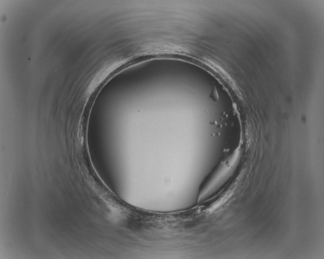 X0000067890885200604201306