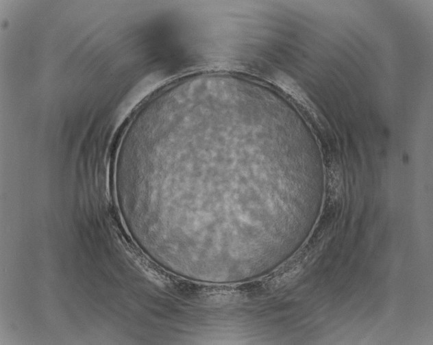 X0000067890886200604201306