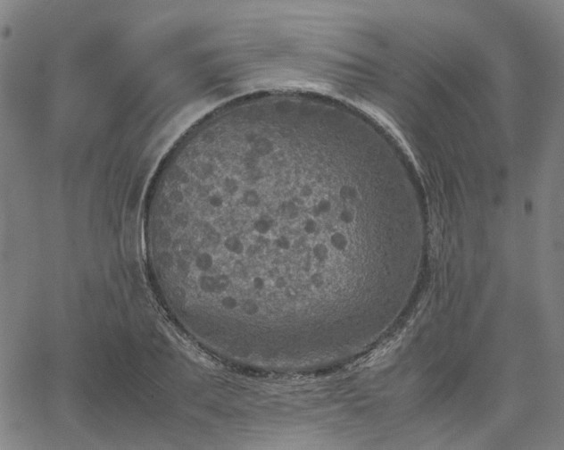 X0000067890887200604201306