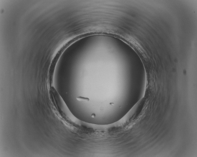 X0000067890888200604201306