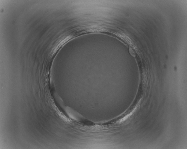 X0000067890889200604201306