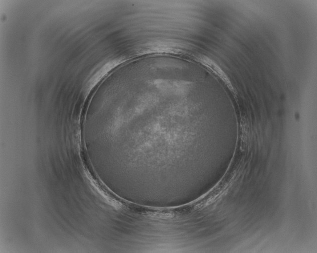 X0000067890890200604201306