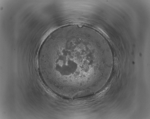 X0000067890891200604201306