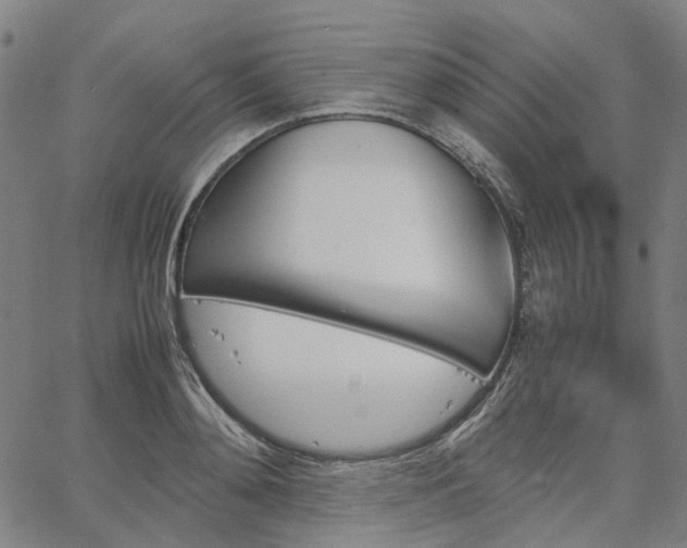 X0000067890892200604201306