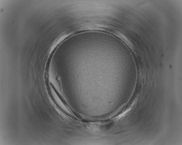 X0000067890893200604201306