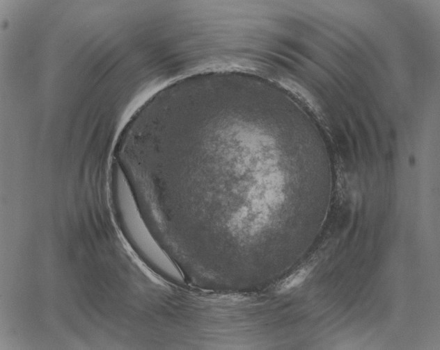 X0000067890894200604201306