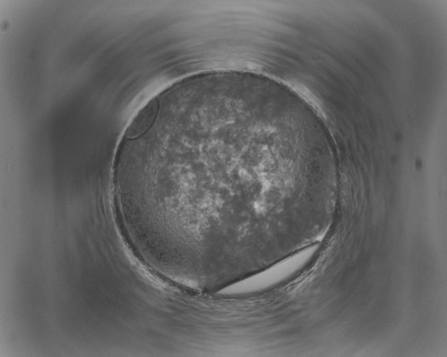 X0000067890895200604201306