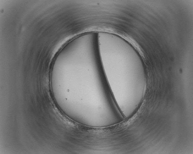 X0000067890896200604201306