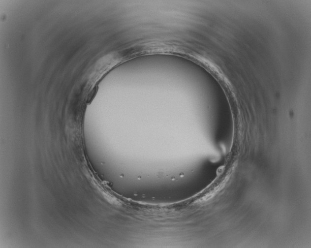 X0000067890897200604201306