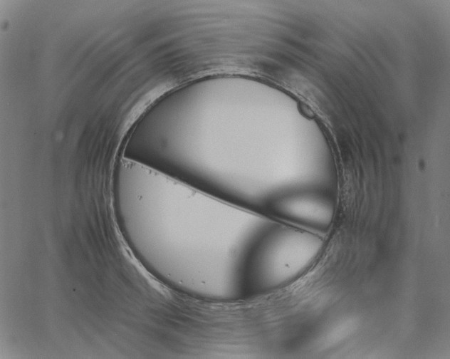 X0000067890898200604201306