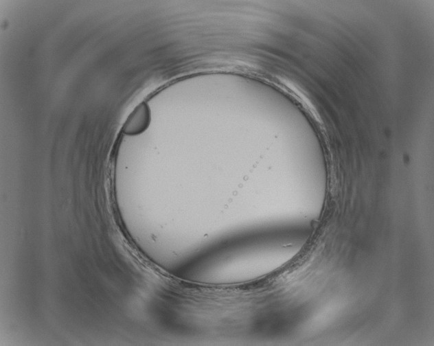 X0000067890899200604201306