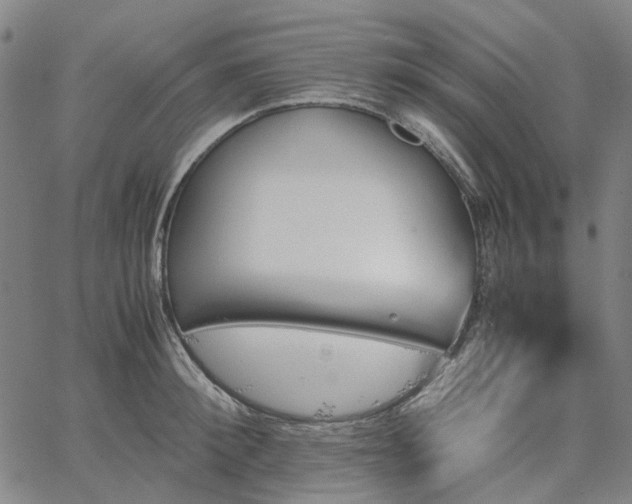 X0000067890900200604201306