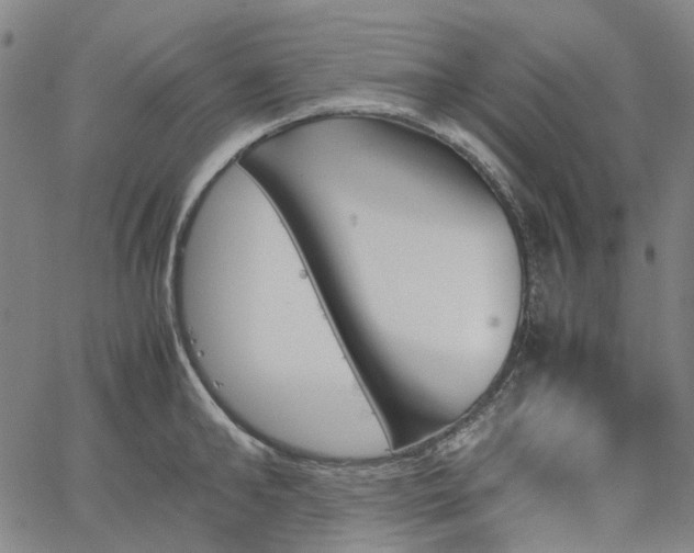 X0000067890902200604201306