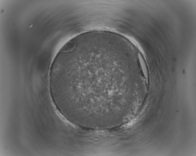 X0000067890903200604201306