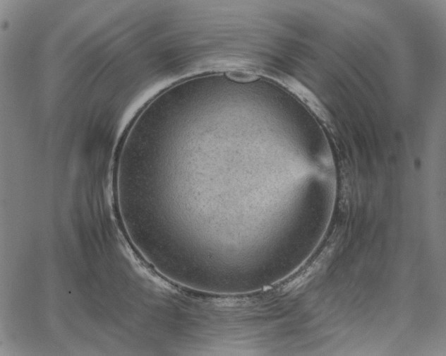 X0000067890904200604201306