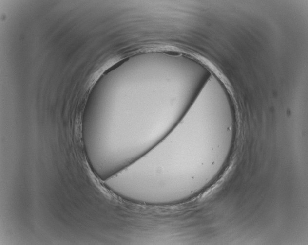 X0000067890905200604201306