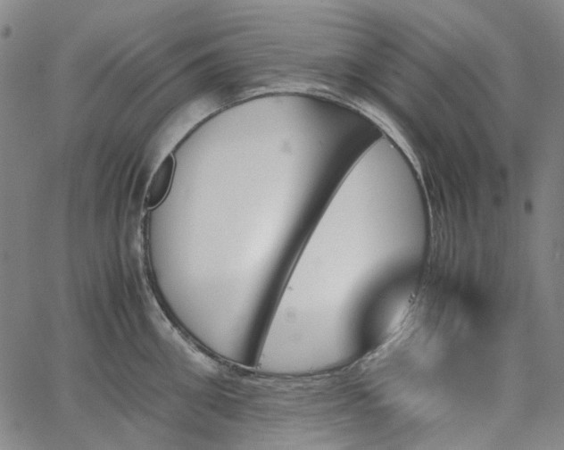 X0000067890906200604201306